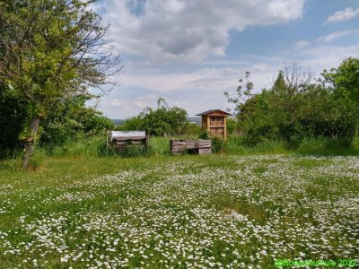 Schulgarten_im_Fruhling_02.jpg