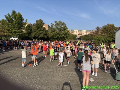 Trixitt_2510.jpg