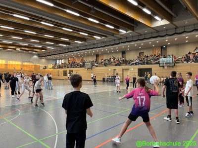 Zweifelderball_2510.jpg